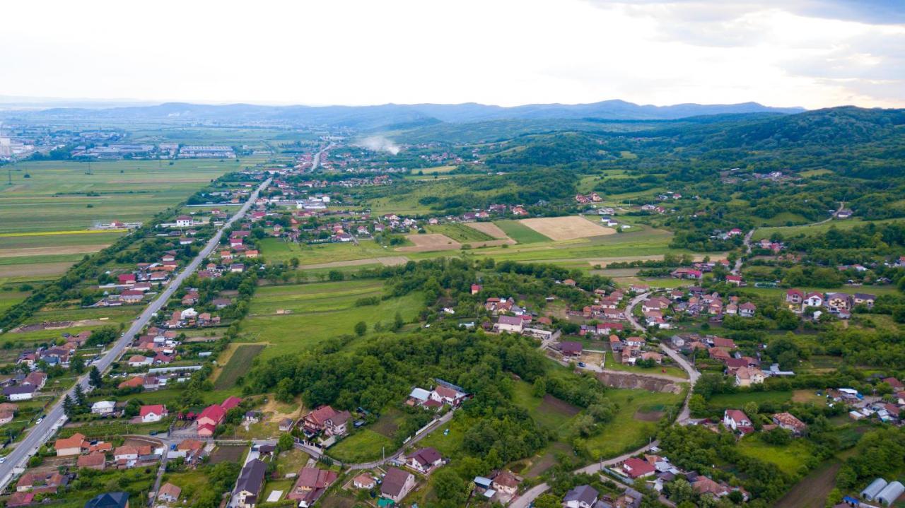 Râmnicu VâlceaCasa Avram别墅 外观 照片